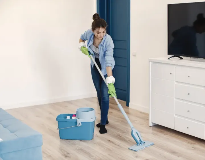 Femme de ménage Planty